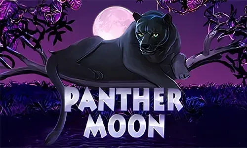 Panther Moon