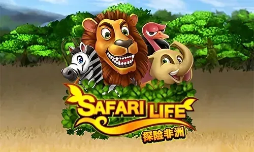 Safari Life